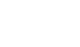 輸入車買取